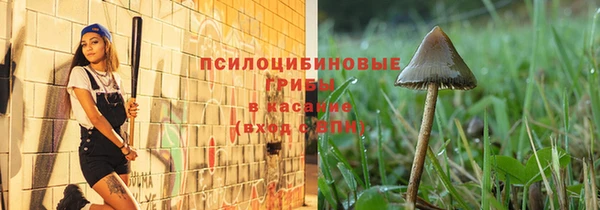 шишки Лагань